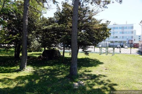 870_579_fixedwidth (2)_0.jpg 870_579_fixedwidth (2)_0.jpg