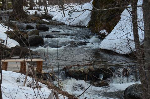 DSC_3997 (Фото Владимир Чуйко).jpg DSC_3997 (Фото Владимир Чуйко).jpg