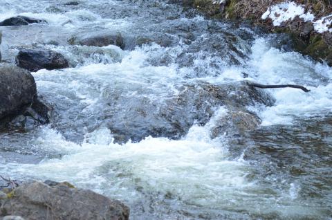 DSC_4000 (Фото Владимир Чуйко).jpg DSC_4000 (Фото Владимир Чуйко).jpg