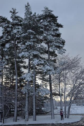 DSC_6528 (Фото Владимир Чуйко).jpg DSC_6528 (Фото Владимир Чуйко).jpg