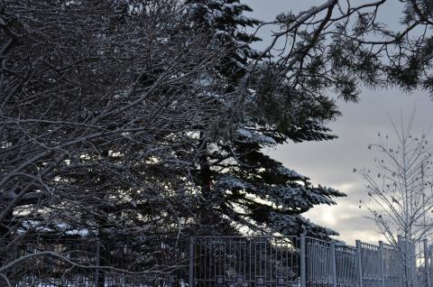 DSC_6530 (Фото Владимир Чуйко).jpg DSC_6530 (Фото Владимир Чуйко).jpg