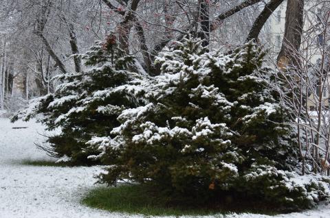 DSC_6534 (Фото Владимир Чуйко).jpg DSC_6534 (Фото Владимир Чуйко).jpg