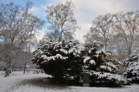 DSC_6536 (Фото Владимир Чуйко).jpg DSC_6536 (Фото Владимир Чуйко).jpg