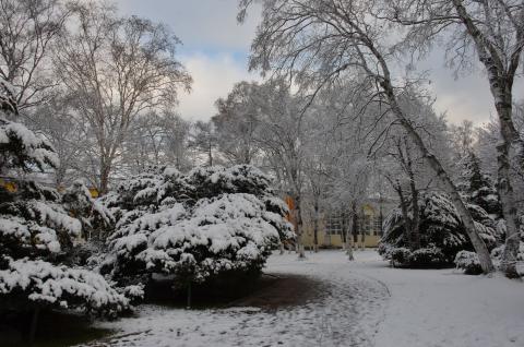 DSC_6537 (Фото Владимир Чуйко).jpg DSC_6537 (Фото Владимир Чуйко).jpg