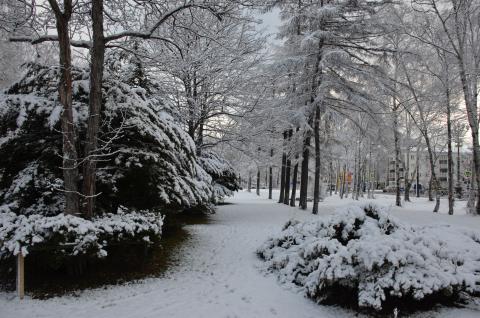 DSC_6540 (Фото Владимир Чуйко).jpg DSC_6540 (Фото Владимир Чуйко).jpg