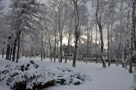 DSC_6541 (Фото Владимир Чуйко).jpg DSC_6541 (Фото Владимир Чуйко).jpg