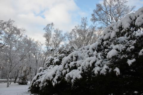 DSC_6542 (Фото Владимир Чуйко).jpg DSC_6542 (Фото Владимир Чуйко).jpg