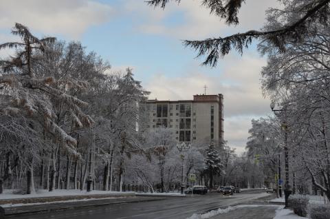 DSC_6543 (Фото Владимир Чуйко).jpg DSC_6543 (Фото Владимир Чуйко).jpg