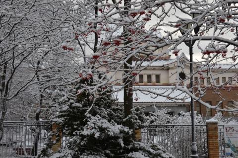 DSC_6544 (Фото Владимир Чуйко)_0.jpg DSC_6544 (Фото Владимир Чуйко)_0.jpg