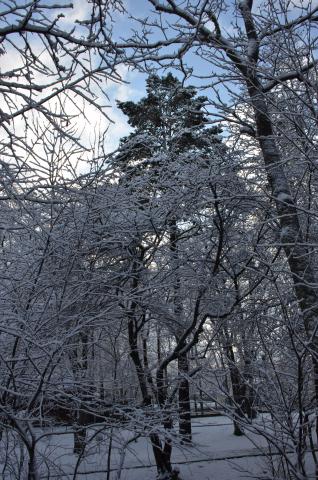 DSC_6565 (Фото Владимир Чуйко).jpg DSC_6565 (Фото Владимир Чуйко).jpg