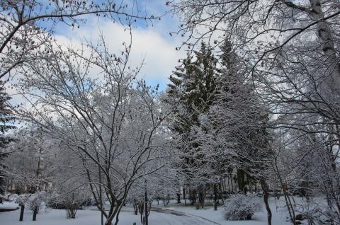 DSC_6570 (Фото Владимир Чуйко).jpg DSC_6570 (Фото Владимир Чуйко).jpg