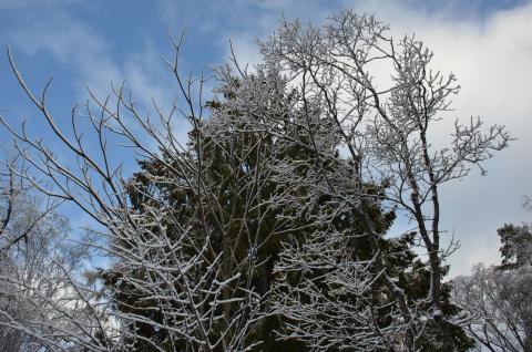 DSC_6578 (Фото Владимир Чуйко).jpg DSC_6578 (Фото Владимир Чуйко).jpg