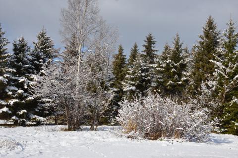 DSC_6623 (Фото Владимир Чуйко).jpg DSC_6623 (Фото Владимир Чуйко).jpg