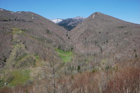 DSC_8462 (Фото Владимир Чуйко).JPG