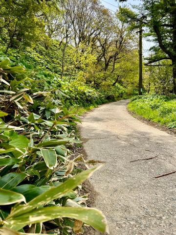 WhatsApp Image 2024-06-14 at 11.17.12 (2).jpeg WhatsApp Image 2024-06-14 at 11.17.12 (2).jpeg