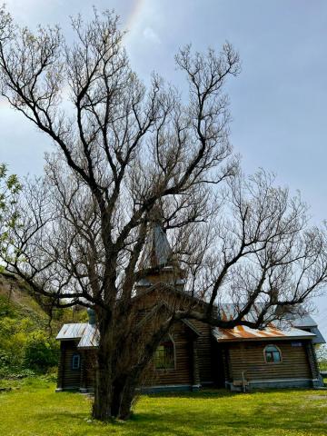 WhatsApp Image 2024-06-14 at 11.17.13 (1).jpeg WhatsApp Image 2024-06-14 at 11.17.13 (1).jpeg