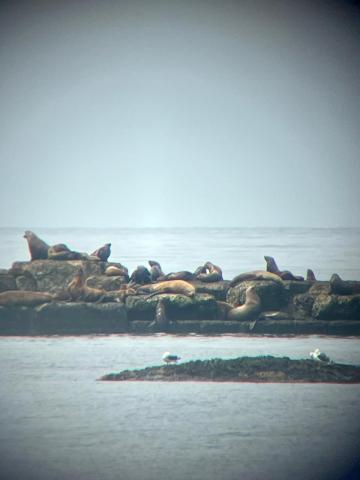 WhatsApp Image 2024-06-14 at 11.17.14 (1).jpeg WhatsApp Image 2024-06-14 at 11.17.14 (1).jpeg