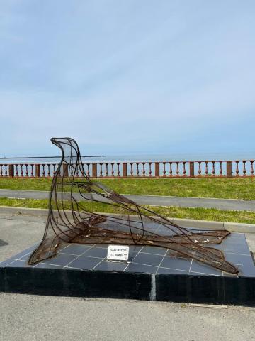 WhatsApp Image 2024-06-14 at 11.17.14 (2).jpeg WhatsApp Image 2024-06-14 at 11.17.14 (2).jpeg