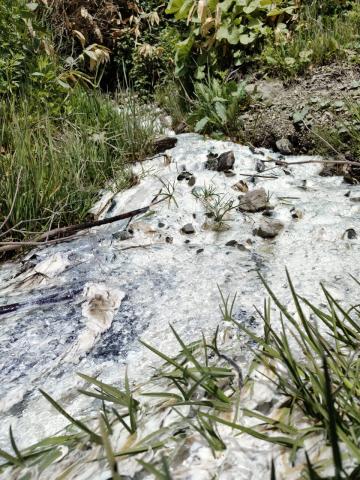 WhatsApp Image 2024-06-14 at 11.18.11 (1).jpeg WhatsApp Image 2024-06-14 at 11.18.11 (1).jpeg