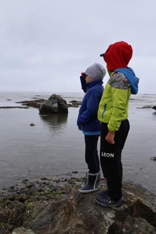 WhatsApp Image 2024-06-17 at 16.55.50.jpeg WhatsApp Image 2024-06-17 at 16.55.50.jpeg