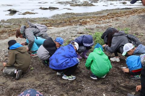 WhatsApp Image 2024-06-17 at 16.57.18.jpeg WhatsApp Image 2024-06-17 at 16.57.18.jpeg