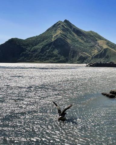 photo_5375496869590983222_y_0.jpg photo_5375496869590983222_y_0.jpg