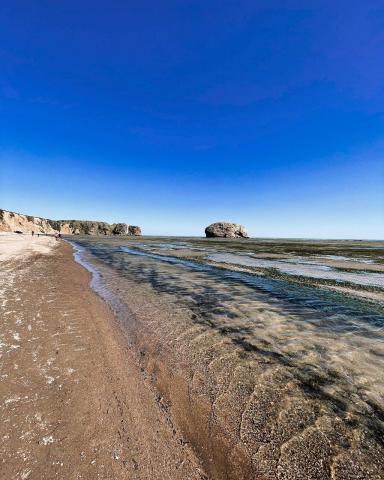 photo_5375496869590983223_y_0.jpg photo_5375496869590983223_y_0.jpg