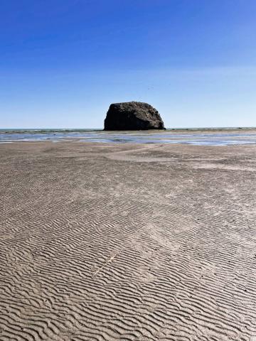 photo_5377748669404665596_y_0.jpg photo_5377748669404665596_y_0.jpg