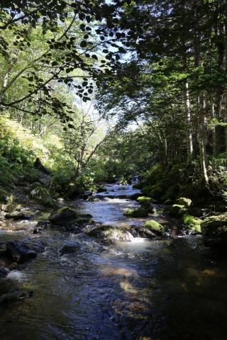 Айхор  (14).jpeg