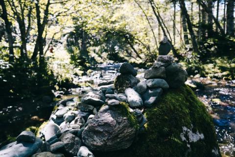 Айхор  (20).jpeg