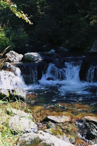 Айхор  (4).jpeg