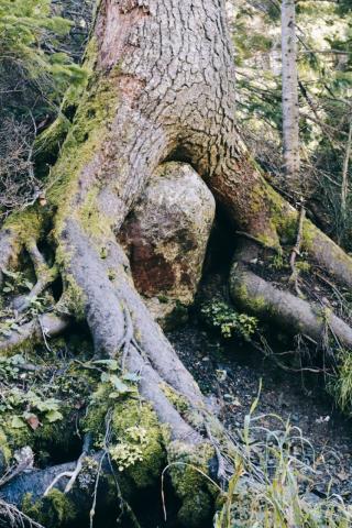 Айхор  (5).jpeg