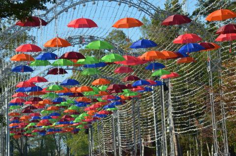 В ГОРОДСКОМ ПАРКЕ, ЗОНТИКИ.jpg