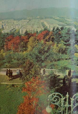 ВИД НА ЧЕРЁМУШКИ ИЗ ЗДАНИЯ ДОМА ПРИЁМОВ ОБКОМА КПСС ГОРКА. ФОТО Н.ЧЕРНЫШ.JPG