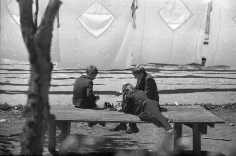 Во дворе. 1960-е. Автор Юрий Садовников  .jpg