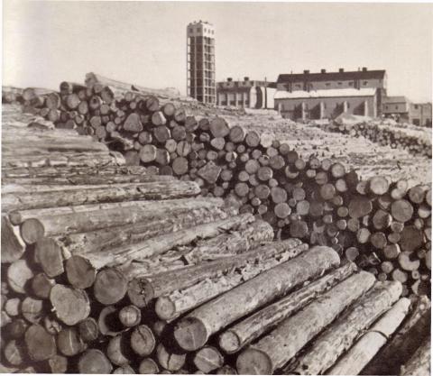 ЛЕС ДЛЯ ПЕРЕРАБОТКИ В ЦЕЛЮЛОЗУ НА БУБУМАЖНОМ ЗАВОДЕ ОДЗИ В ТОЙОХАРА .jpg