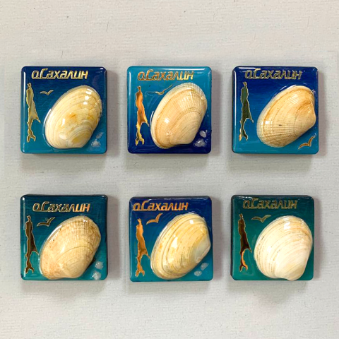 Магниты 4 см_ЭПОКСИДНАЯ смола_с морскими дарами.png