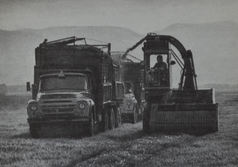 НА ПОЛЯХ СОВХОЗА КОМСОМОЛЕЦ.JPG