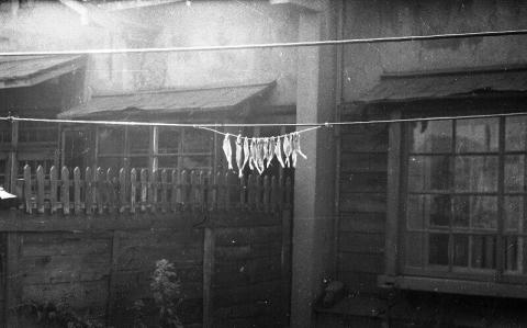 На окраинах города. 1960–1964 годы. Автор Юрий Садовников.jpg