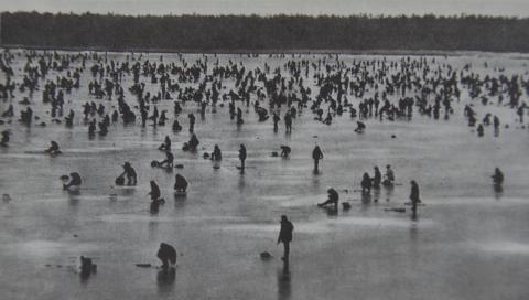 ПОДЛЁДНЫЙ ЛОВ КОРЮШКИ НА ОЗЕРЕ БУССЕ.JPG