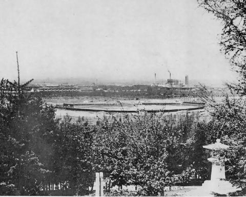 Стадион для бейсбола в парке (радиоцентр)_1.jpg