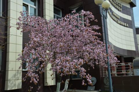 У ГОРОДСКОЙ БОЛЬНИЦЫ_0.jpg