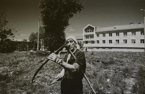 ФРАЧЕСКО ЧИТО.КОСАРЬ.JPG