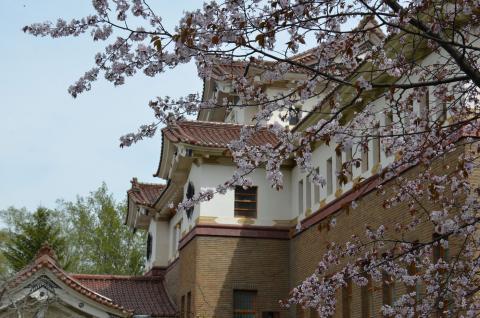 ЦВЕТЕНИЕ САККУРЫ В МУЗЕЕ_0.jpg