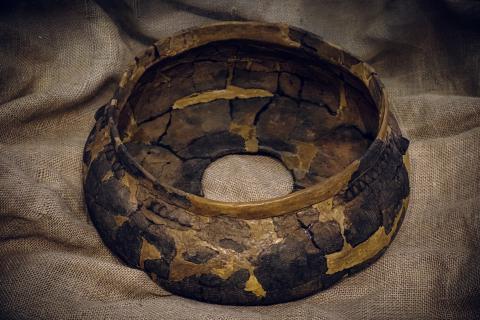 новая выставка (10).jpg