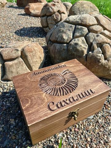 шк_Аммонит.jpg шк_Аммонит.jpg