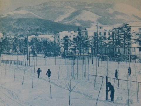 1968. САХАЛИНСКИЕ ЧЕРЁМУШКИ.JPG