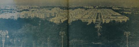 1969.ЮЖНО-САХАЛИНСКИЕ ЧЕРЁМУШКИ.JPG