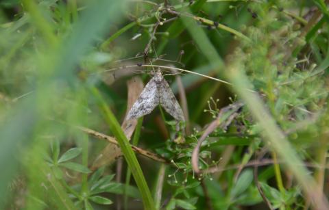 DSC_1719_3.JPG
