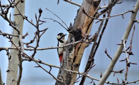 DSC_7673.JPG